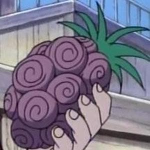 profile_Chop Fruit / Bara Bara No Mi