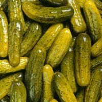 Pickles type de personnalité MBTI image
