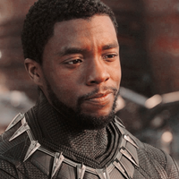 King T’Challa “Black Panther” type de personnalité MBTI image