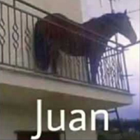 Juan type de personnalité MBTI image