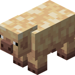 profile_Cold Pig