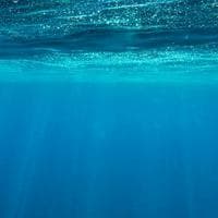 Ocean тип личности MBTI image