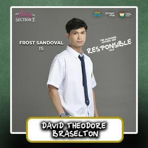 profile_David Theodore Braselton