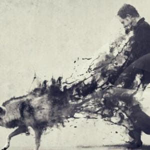 profile_Be a lone wolf