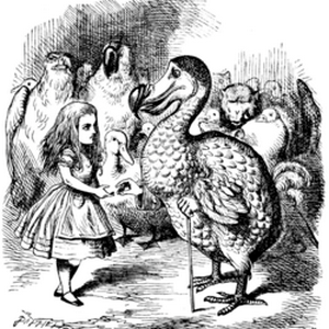 profile_The Dodo