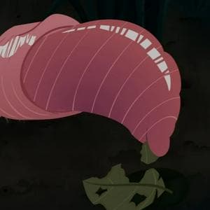 profile_Pinkie