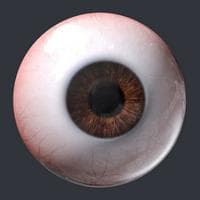 Eyes MBTI -Persönlichkeitstyp image