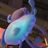 profile_Splat
