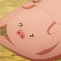 profile_Buta