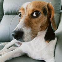 profile_Bella (WayV)