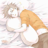Sleep Hugging A Pillow type de personnalité MBTI image