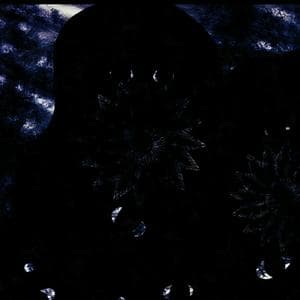 profile_The Night Void