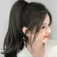 Ponytail نوع شخصية MBTI image