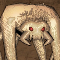 profile_Maneater