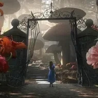 profile_The Wonderland