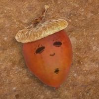 profile_Acorn