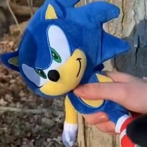 profile_Sonic
