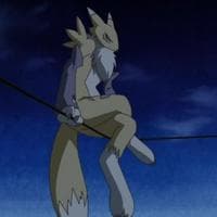 Renamon (Tamers) MBTI -Persönlichkeitstyp image