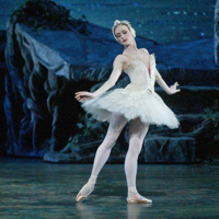 Swan Lake (Ballet)