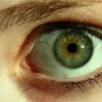 Green Eyes type de personnalité MBTI image