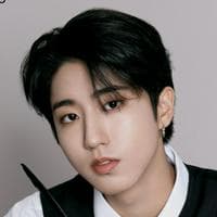 Han (Stray Kids) mbtiパーソナリティタイプ image