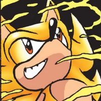 profile_Super Sonic / Stupid Sonic