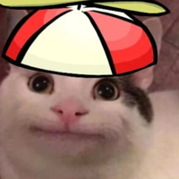 profile_Beluga Jr.