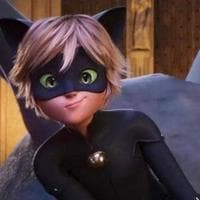 Chat Noir tipo de personalidade mbti image