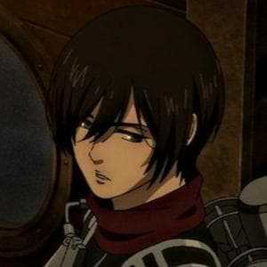 profile_Mikasa Ackerman