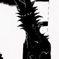 profile_Dogtooth