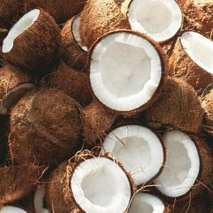Coconut نوع شخصية MBTI image