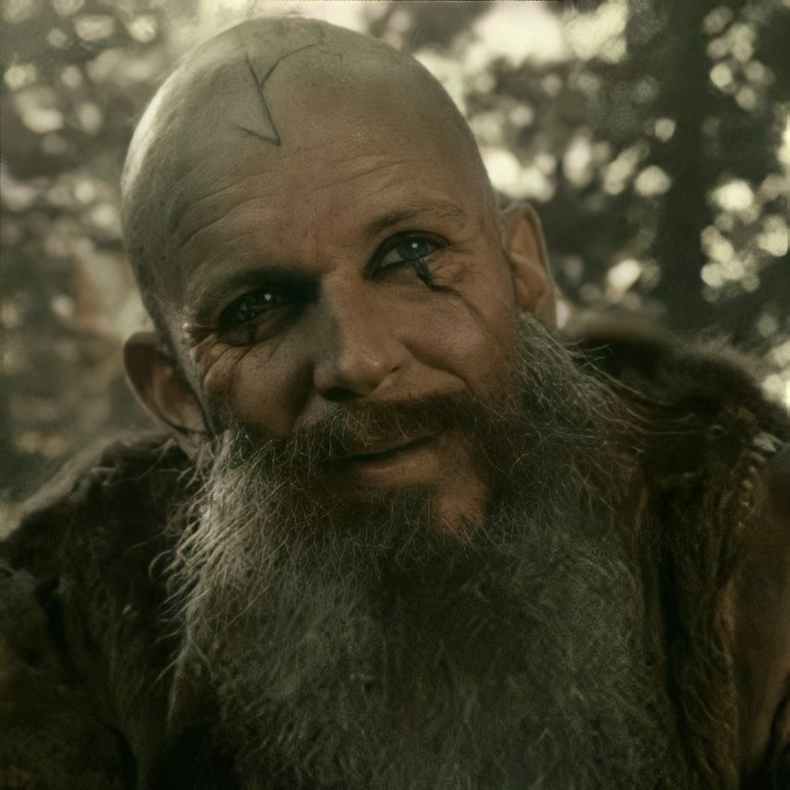 Floki Vilgerðarson tipo di personalità MBTI image