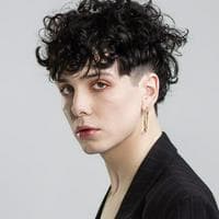 Hubert Lenoir MBTI 성격 유형 image