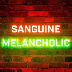 profile_Sanguine-Melancholic (SanMel)