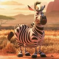Zebra tipe kepribadian MBTI image