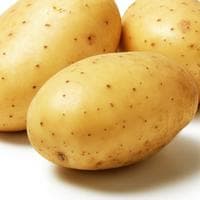 Potato MBTI Personality Type image