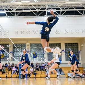 profile_Volleyball