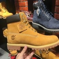 Timbs MBTI性格类型 image