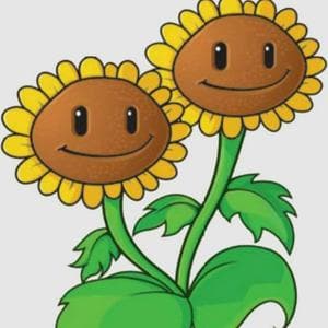 profile_Twin Sunflower