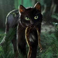 Ravenpaw MBTI 성격 유형 image