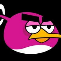 profile_Blackhole Bird