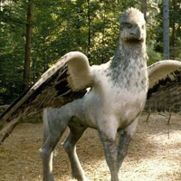 Buckbeak MBTI Personality Type image