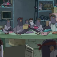 Pigeon Cartel MBTI Personality Type image