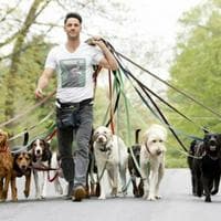 Dog Walking MBTI Personality Type image