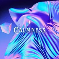 profile_Calmness (High Scorers)