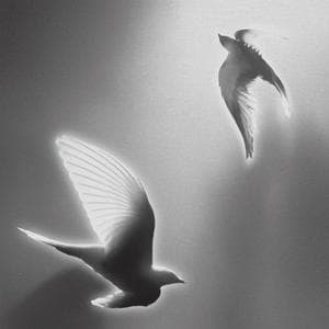 profile_perseverance (in the face of grief) - Hindia