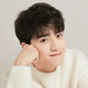 profile_Wang Hongyi 王弘毅