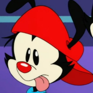 Wakko (Reboot) tipo di personalità MBTI image