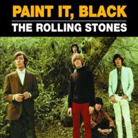 The Rolling Stones - Paint It, Black тип личности MBTI image