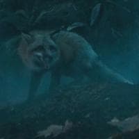 (Salem Seven) Fox MBTI性格类型 image